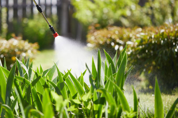 24/7 Emergency Mosquito Control experts in Thunderbolt, GA