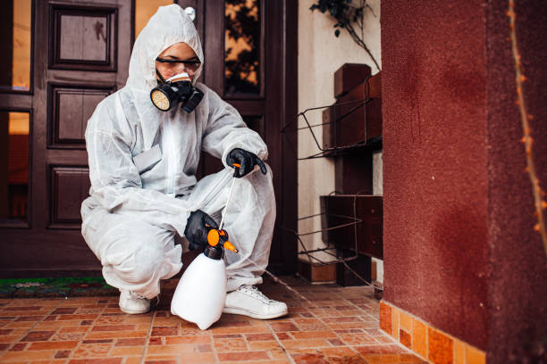 Reliable Mosquito Control contractor in Thunderbolt, GA by Show Me Pest Control
